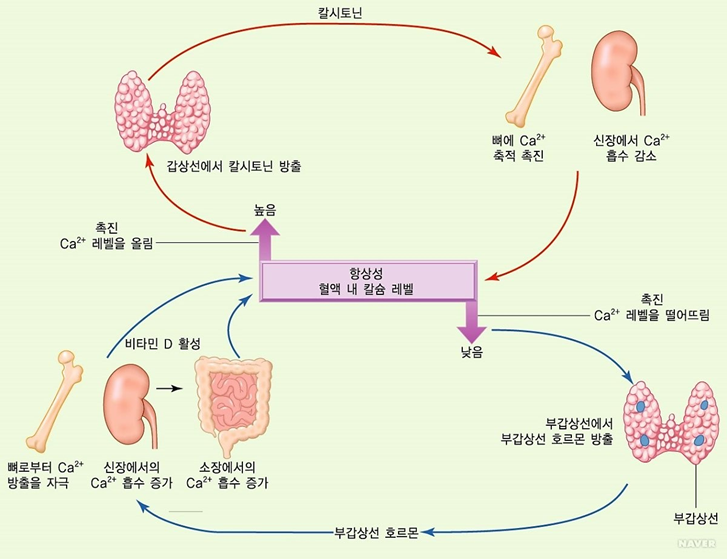 이미지명
